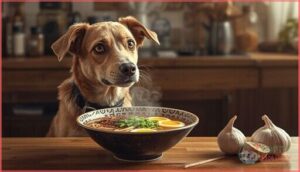 is ramen broth safe for dogs is ramen broth safe for dogs