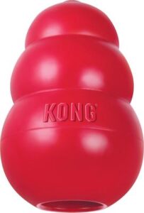 KONG Classic Dog Toy 38483