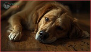 lethargy and drowsiness lethargy and drowsiness