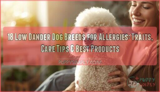 18 Low Dander Dog Breeds For Allergies Traits Care Tips Photo Inspiration