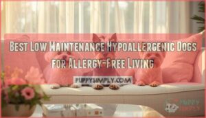 low maintenance hypoallergenic dogs low maintenance hypoallergenic dogs