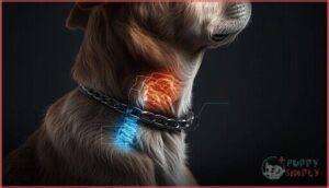 neck and trachea injuries neck and trachea injuries
