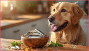 nutritional benefits of anchovies for dogs nutritional benefits of anchovies for dogs