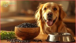 nutritional benefits of black beans for dogs nutritional benefits of black beans for dogs