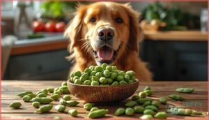 nutritional benefits of edamame for dogs nutritional benefits of edamame for dogs