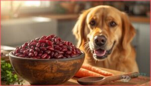 nutritional benefits of red beans for dogs nutritional benefits of red beans for dogs