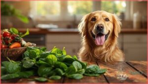 nutritional benefits of spinach for dogs nutritional benefits of spinach for dogs
