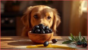nutritional value of black olives for dogs nutritional value of black olives for dogs