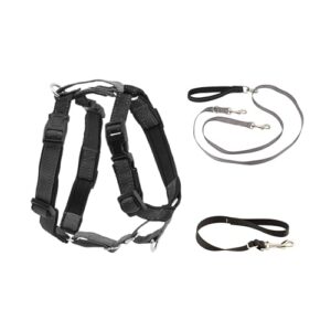 PetSafe 3 in 1 Harness with Two Point B085G63GVP