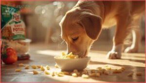 plain cooked pasta plain cooked pasta