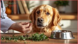 potential risks and side effects potential risks and side effects