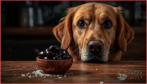 potential risks of feeding black olives potential risks of feeding black olives