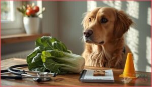 potential risks of feeding dogs bok choy potential risks of feeding dogs bok choy