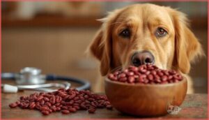 potential risks of feeding red beans potential risks of feeding red beans