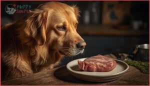 potential risks of feeding veal to dogs potential risks of feeding veal to dogs