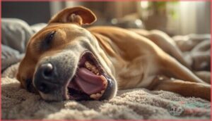 rapid heart rate and panting rapid heart rate and panting