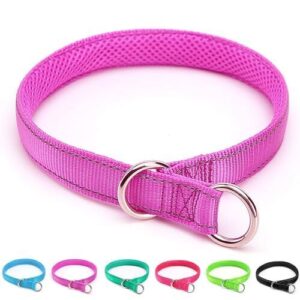 Reflective Slip Dog Collar, Loop B07R7T8KW8