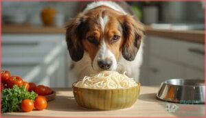 rice noodles rice noodles