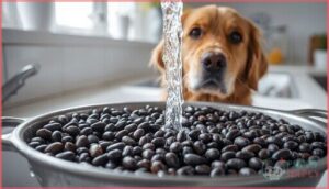 rinsing canned black beans rinsing canned black beans
