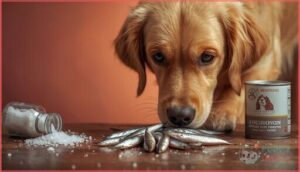 risks and precautions when feeding anchovies risks and precautions when feeding anchovies