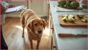 risks and precautions when feeding artichokes risks and precautions when feeding artichokes