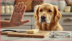 risks of feeding cream cheese to dogs risks of feeding cream cheese to dogs