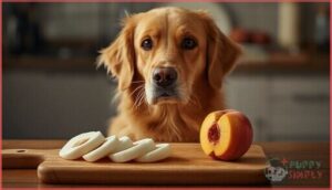 risks of feeding white peaches to dogs risks of feeding white peaches to dogs