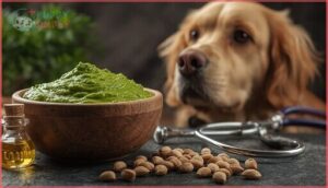 risks of pine nuts and high fat risks of pine nuts and high fat