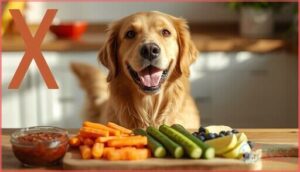 safe alternatives to salsa for dogs safe alternatives to salsa for dogs