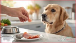 safe feeding practices for turkey ham safe feeding practices for turkey ham