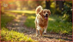 safe physical activities safe physical activities