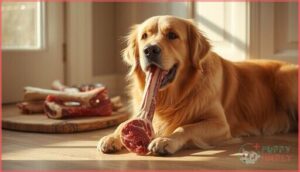 safe raw bone feeding practices for dogs safe raw bone feeding practices for dogs