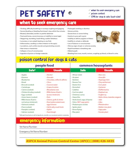 Safety Magnets by ZOCO –