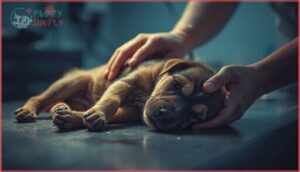 severe symptoms of calcium deficiency severe symptoms of calcium deficiency