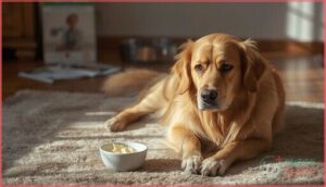 signs of cream cheese intolerance in dogs signs of cream cheese intolerance in dogs