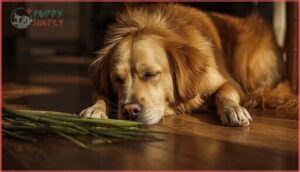 signs of intestinal blockage signs of intestinal blockage