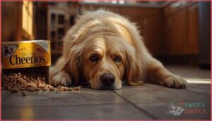 signs your dog ate too many cheerios signs your dog ate too many cheerios