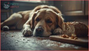 signs your dog ate unsafe keto bread signs your dog ate unsafe keto bread