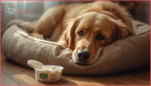 signs your dog should avoid cottage cheese signs your dog should avoid cottage cheese