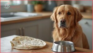 signs your dog should avoid tortillas signs your dog should avoid tortillas