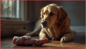 signs your dog should not eat turkey necks signs your dog should not eat turkey necks