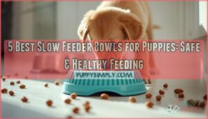 slow feeder bowls for puppies slow feeder bowls for puppies