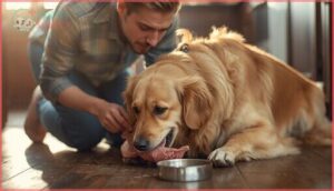supervision during feeding supervision during feeding