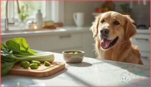 tips for adding bok choy to a dog’s diet tips for adding bok choy to a dog’s diet