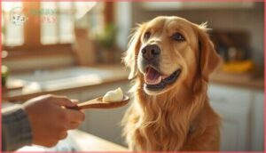 using cream cheese as a dog treat using cream cheese as a dog treat
