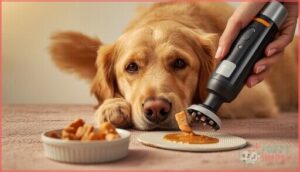 using treats and positive reinforcement using treats and positive reinforcement