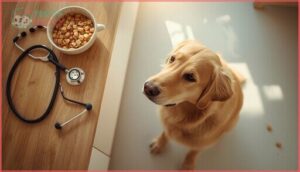 veterinary recommendations on human cereals for dogs veterinary recommendations on human cereals for dogs