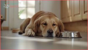 vomiting and diarrhea vomiting and diarrhea