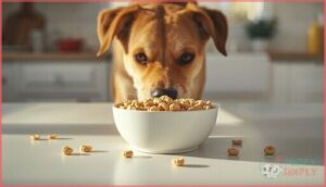 what are the risks of feeding dogs cheerios what are the risks of feeding dogs cheerios