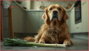 what happens if a dog eats lemongrass what happens if a dog eats lemongrass